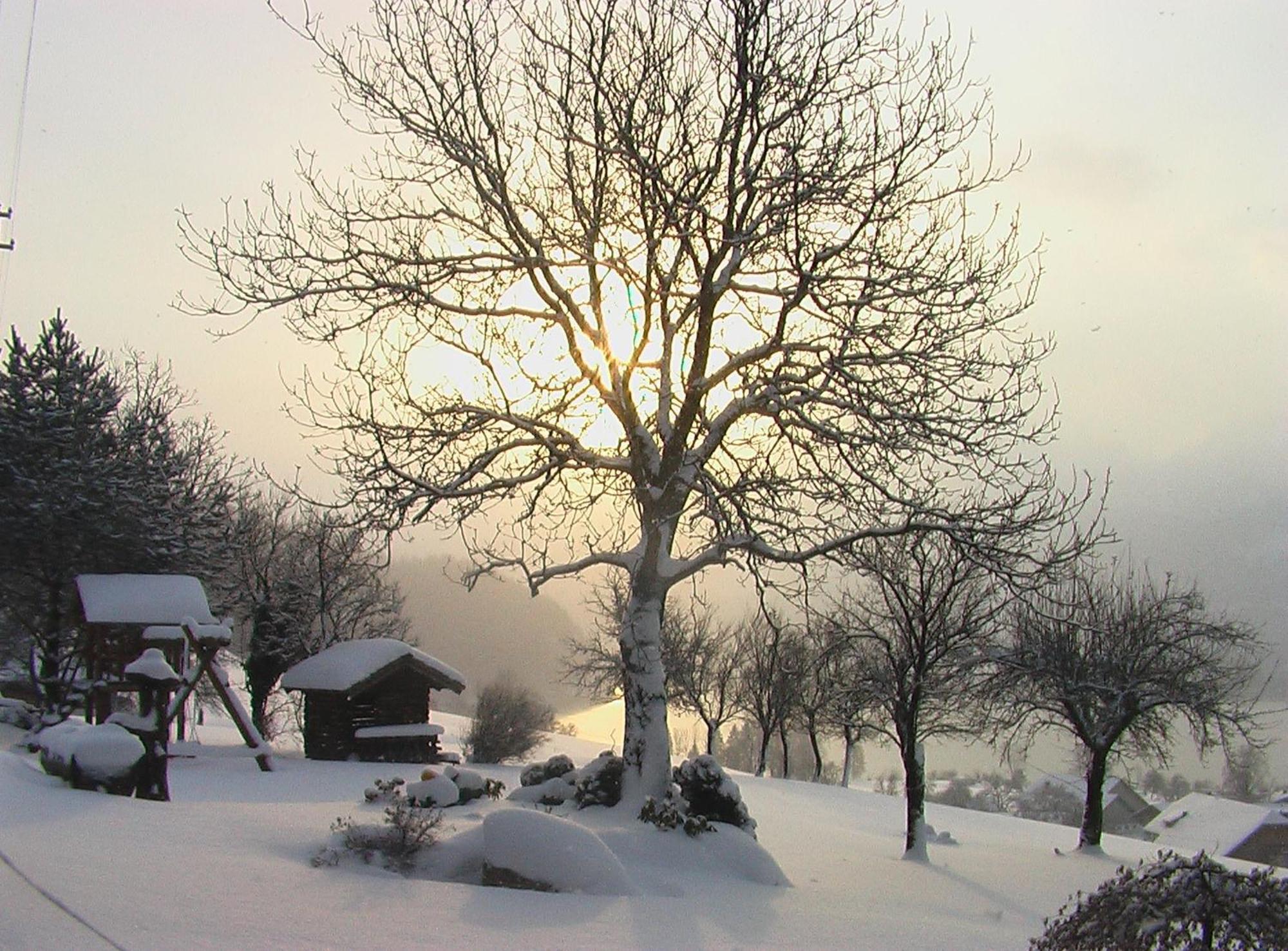 Hauslhof Bed & Breakfast Saint Wolfgang Екстериор снимка