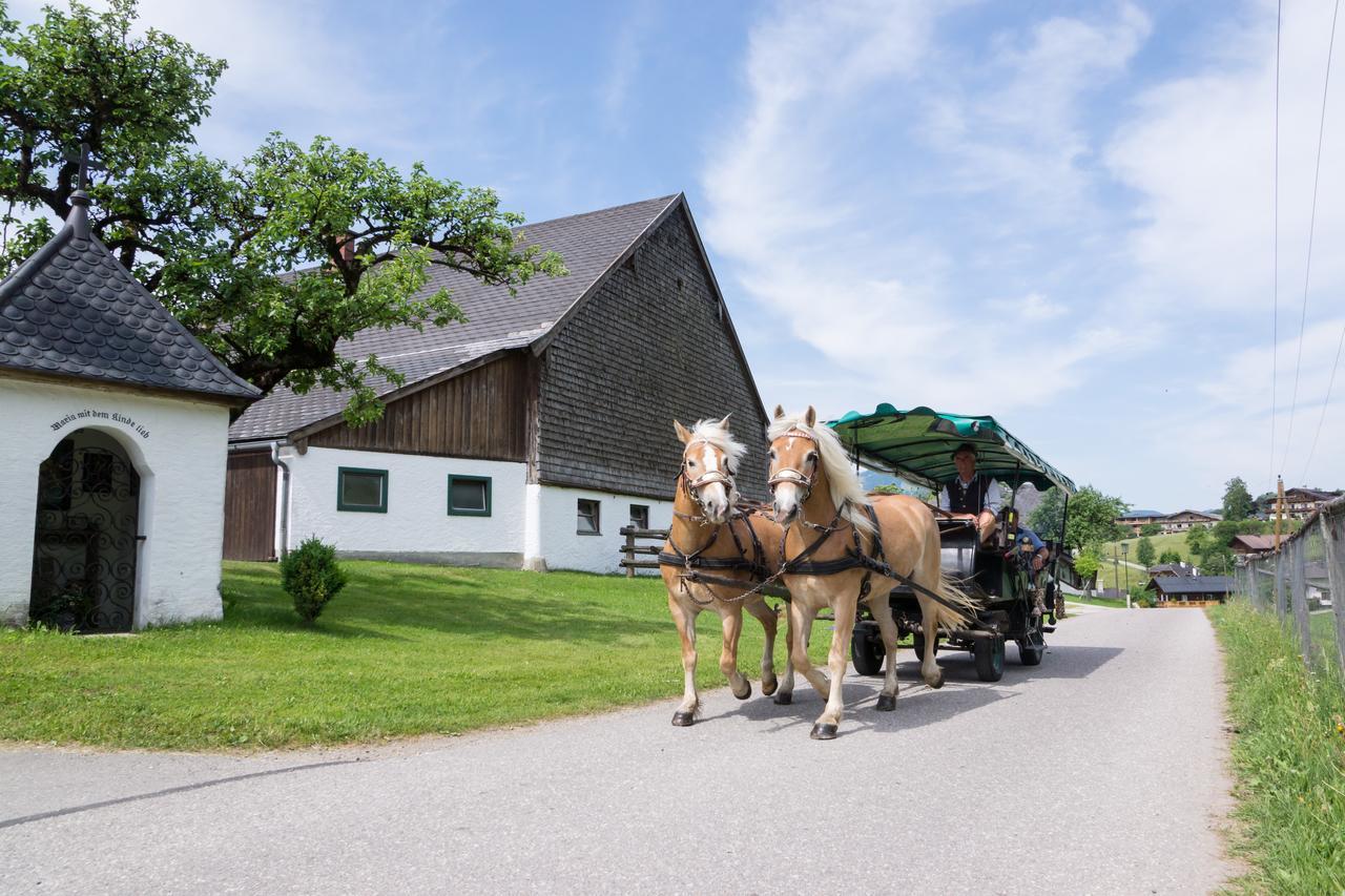Hauslhof Bed & Breakfast Saint Wolfgang Екстериор снимка