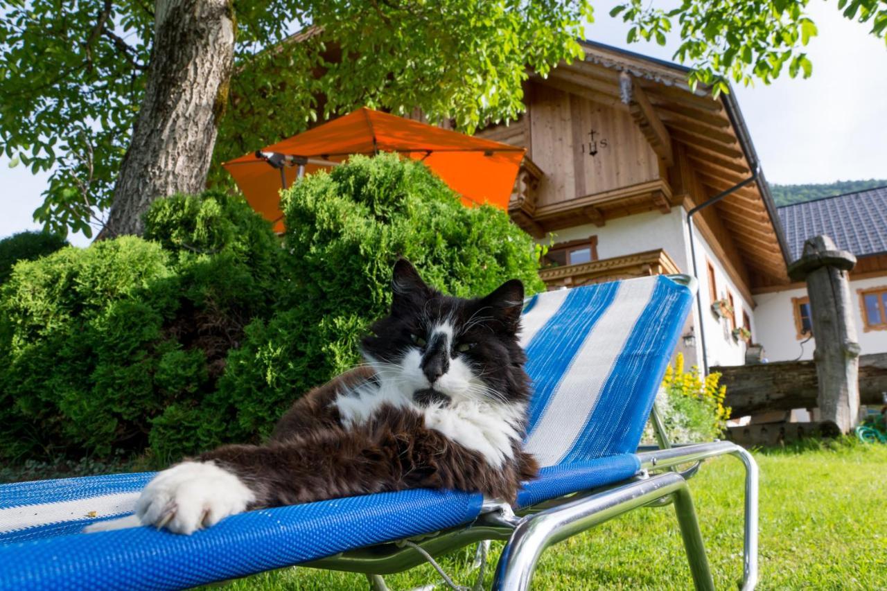 Hauslhof Bed & Breakfast Saint Wolfgang Екстериор снимка