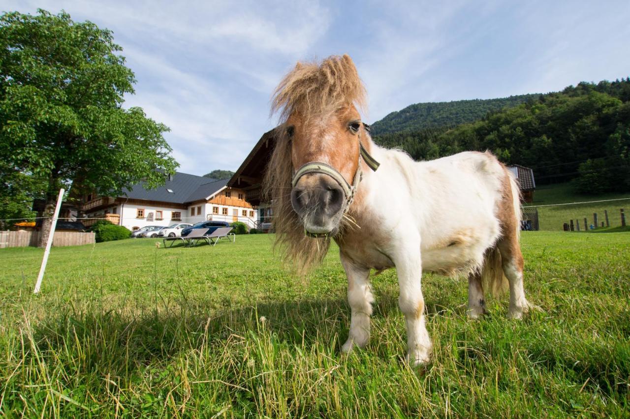 Hauslhof Bed & Breakfast Saint Wolfgang Екстериор снимка