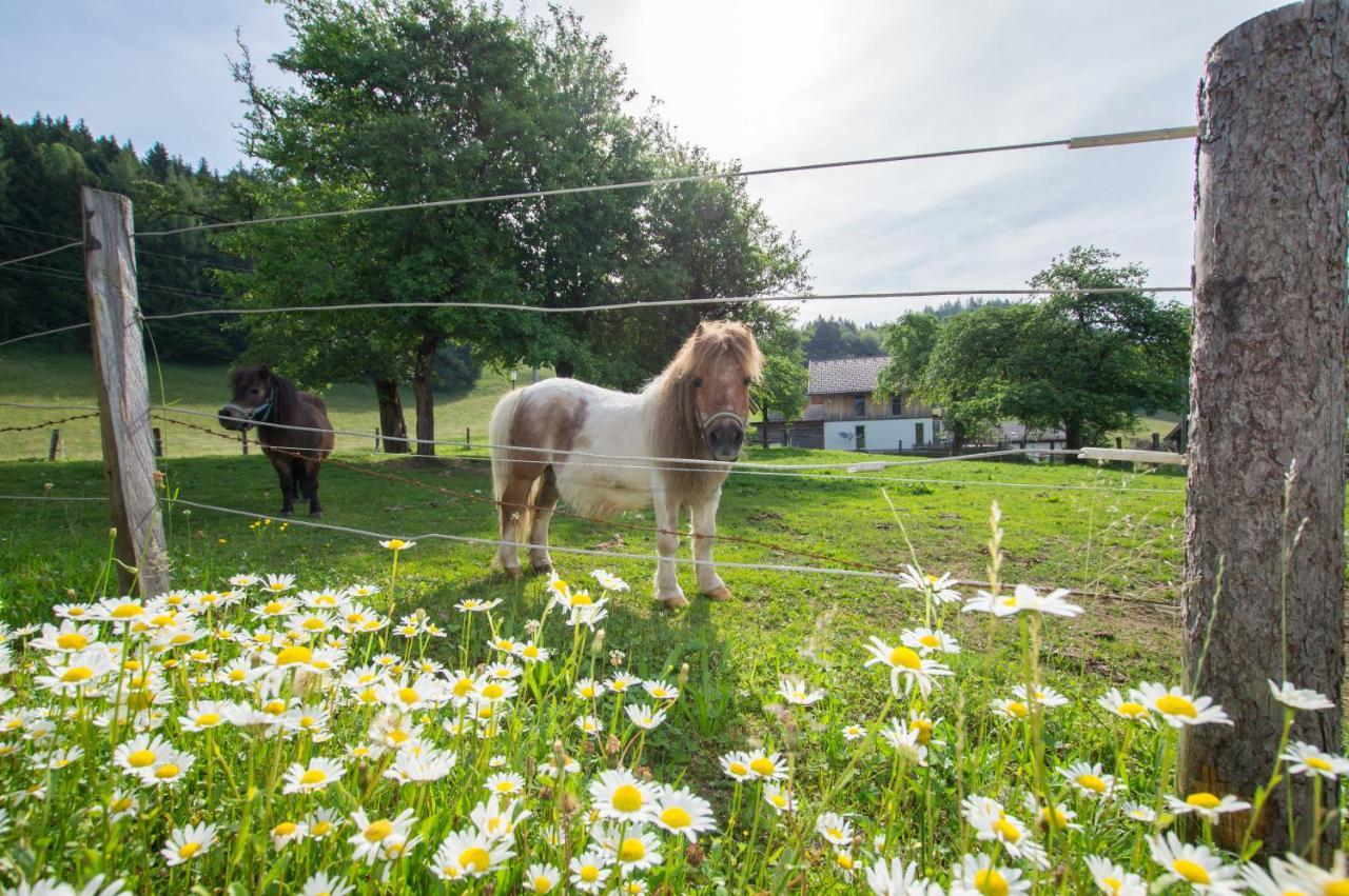 Hauslhof Bed & Breakfast Saint Wolfgang Екстериор снимка